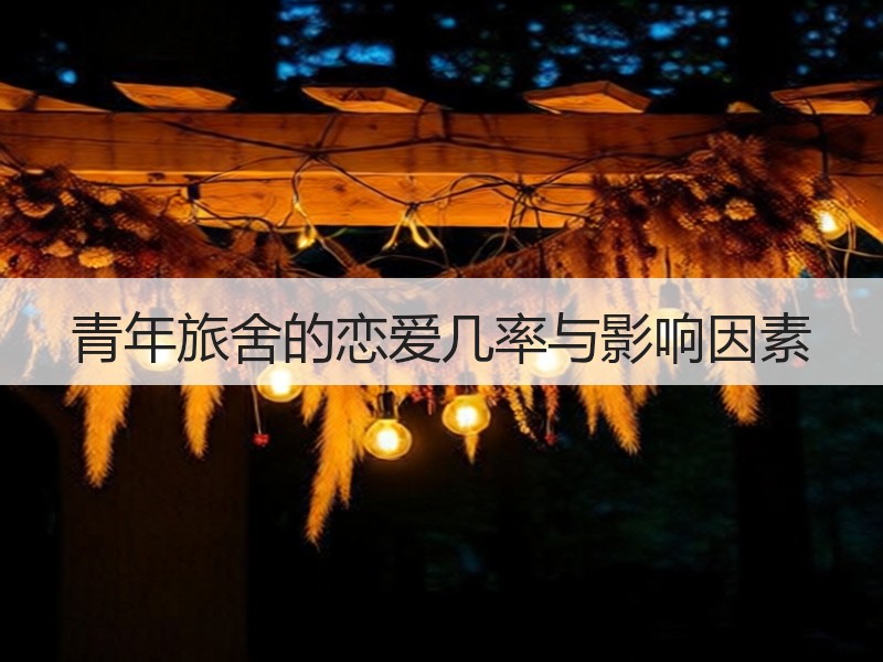 青年旅舍的恋爱几率与影响因素