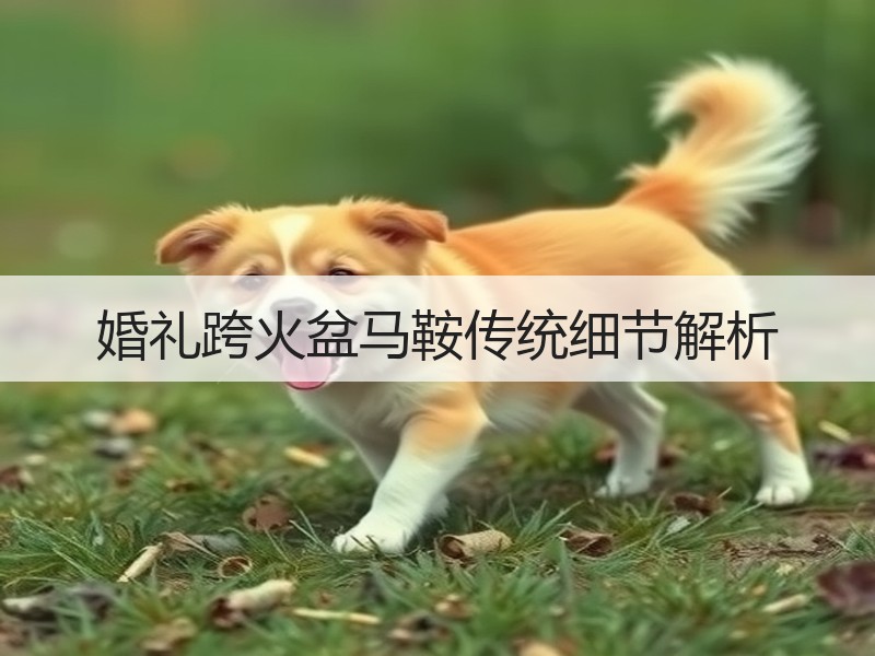 婚礼跨火盆马鞍传统细节解析