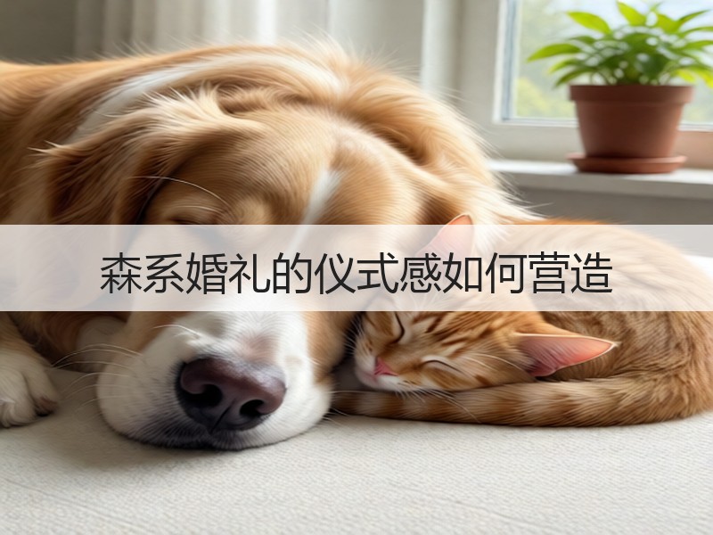 森系婚礼的仪式感如何营造
