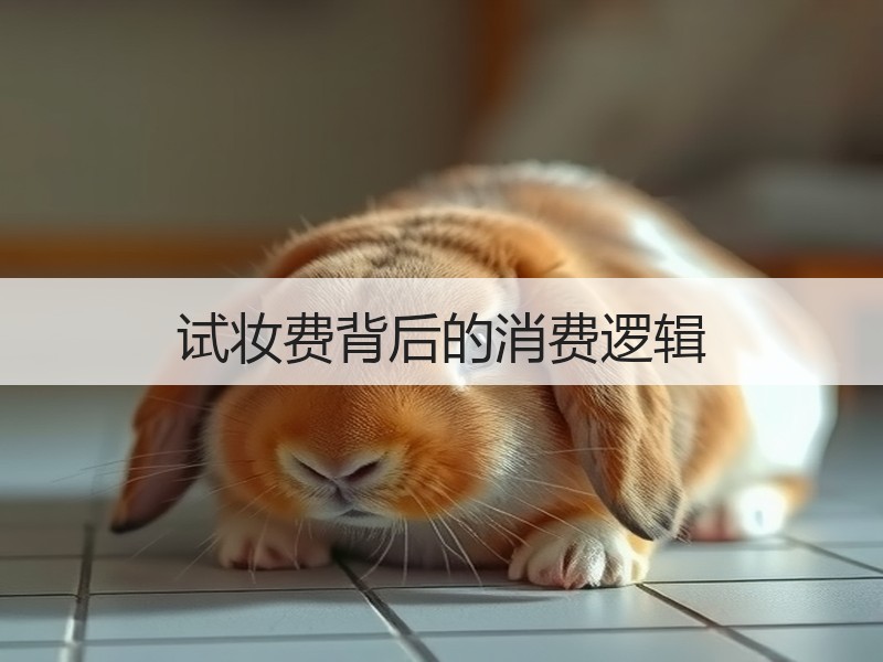 试妆费背后的消费逻辑