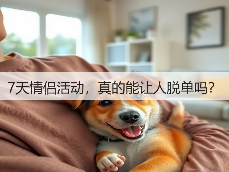 7天情侣活动，真的能让人脱单吗？