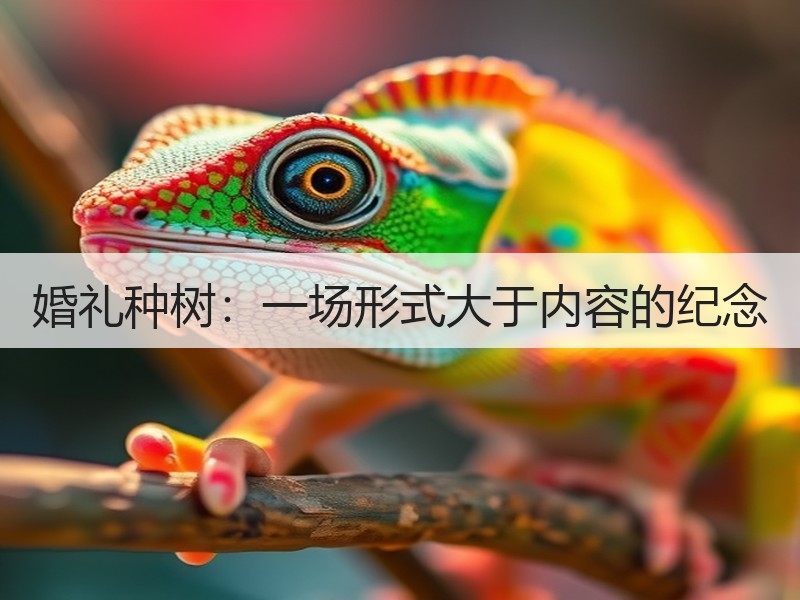 婚礼种树：一场形式大于内容的纪念