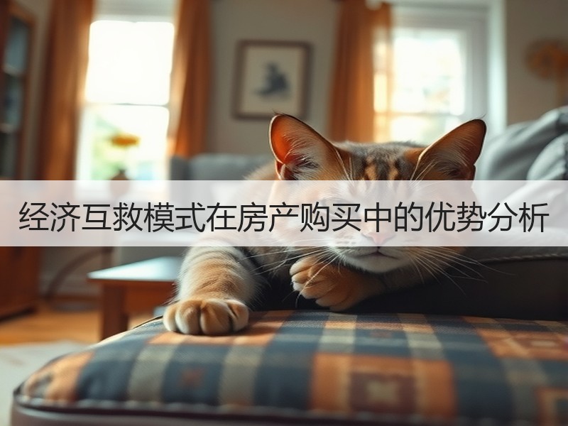 经济互救模式在房产购买中的优势分析
