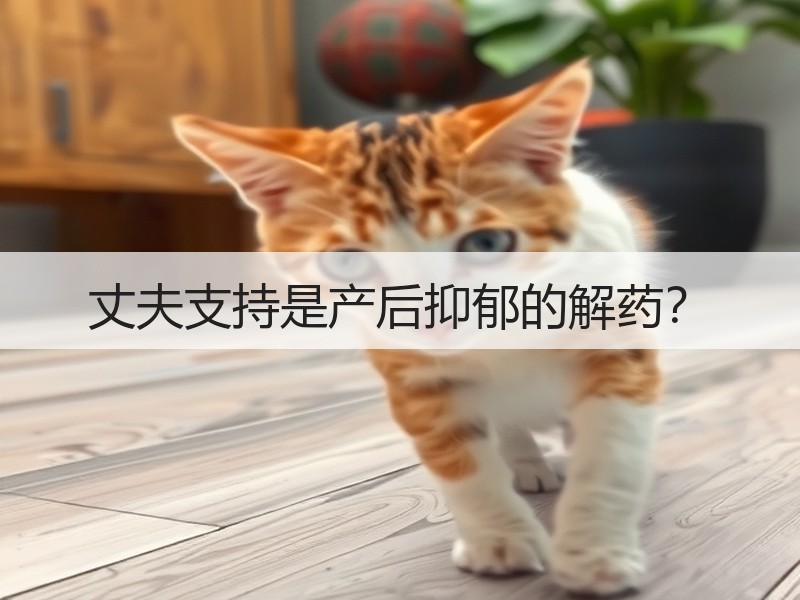 丈夫支持是产后抑郁的解药？