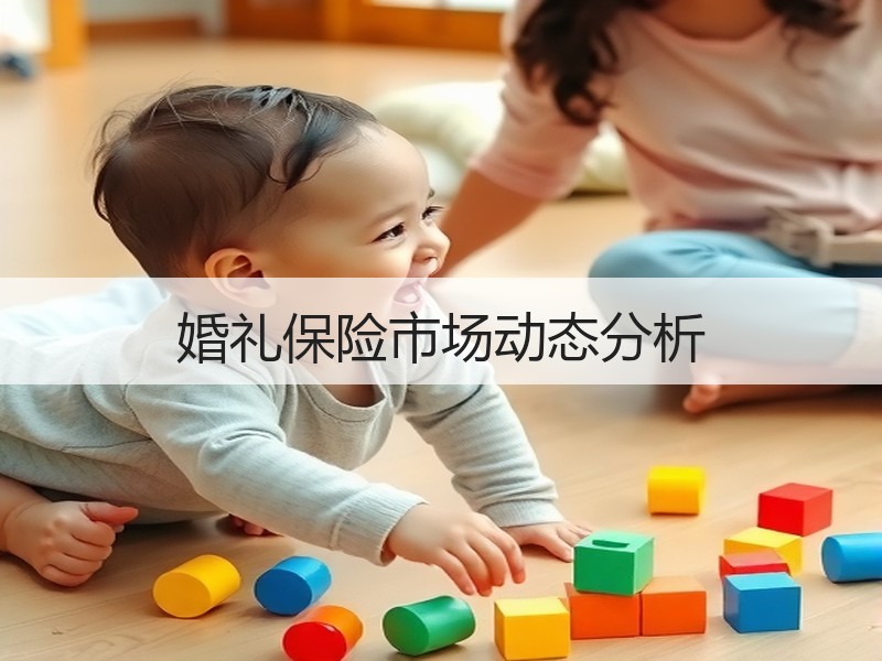 婚礼保险市场动态分析