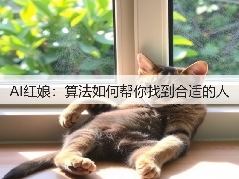 AI红娘：算法如何帮你找到合适的人