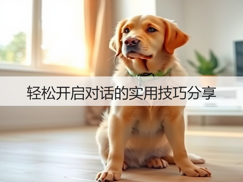 轻松开启对话的实用技巧分享