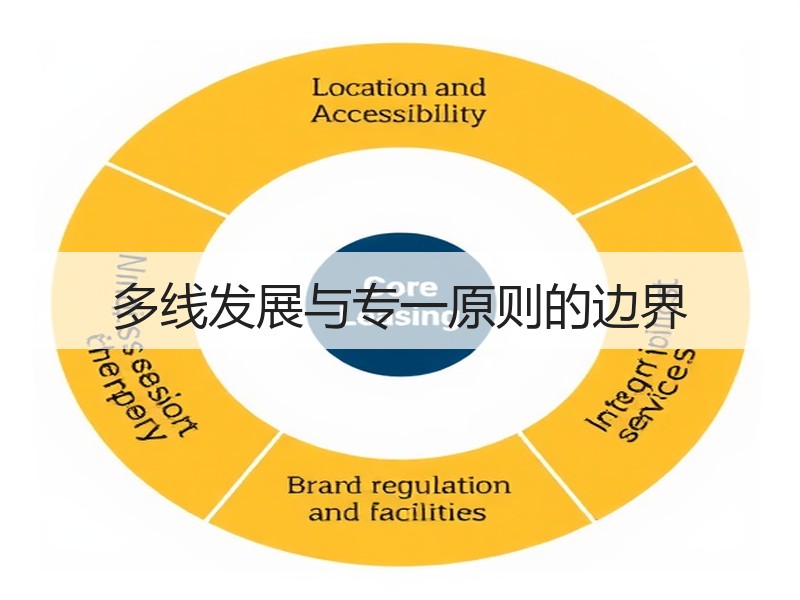 多线发展与专一原则的边界
