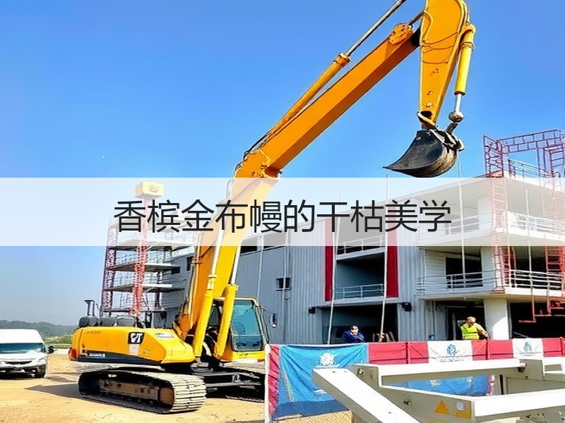 香槟金布幔的干枯美学