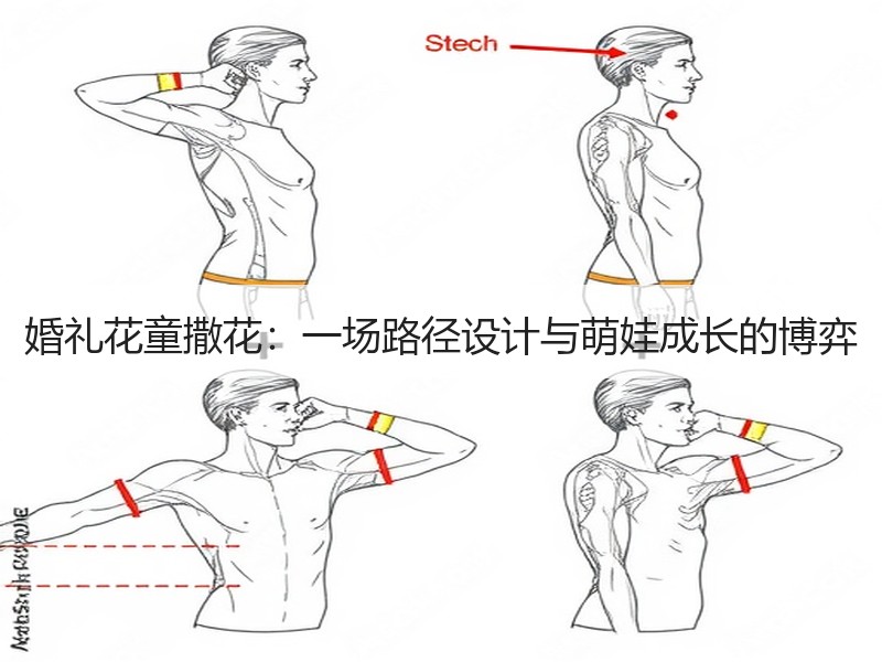 婚礼花童撒花：一场路径设计与萌娃成长的博