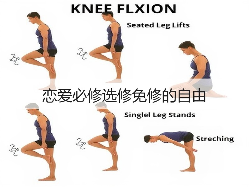 恋爱必修选修免修的自由